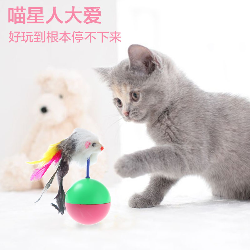 舒保特猫咪不倒翁玩具老鼠不倒翁 逗猫玩具 猫咪玩具宠物玩具在类目 宠物/宠物食品及用品, 猫/狗玩具, 套装玩具中 - 来自Buy2taobao.com提供专业的淘宝代购服务