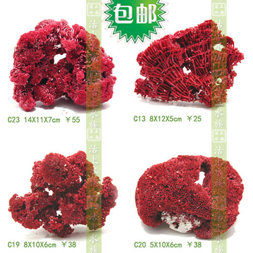 『沽上水族』管状珊瑚石鱼缸装饰水族造景贝壳海螺大海红礁石在类目 宠物/宠物食品及用品, 水族世界, 鱼缸等水族设备, 造景/装饰中 - 来自Buy2taobao.com提供专业的淘宝代购服务