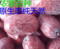 上下架计划:红枣 正宗新疆若羌灰枣 500g特级枣子有灰未加工无清洗原枣 批发