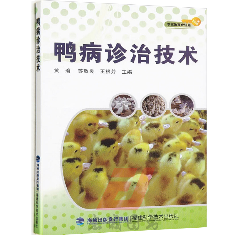 正版金钥匙 冲刺名校大试卷 8八年级上册数学