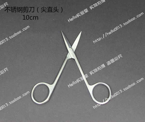 优质张家港不锈钢剪刀 直尖头 10cm 规格齐全在类目 电子词典/电纸书/文化用品, 裁剪用品, 剪刀中 - 来自Buy2taobao.com提供专业的淘宝代购服务