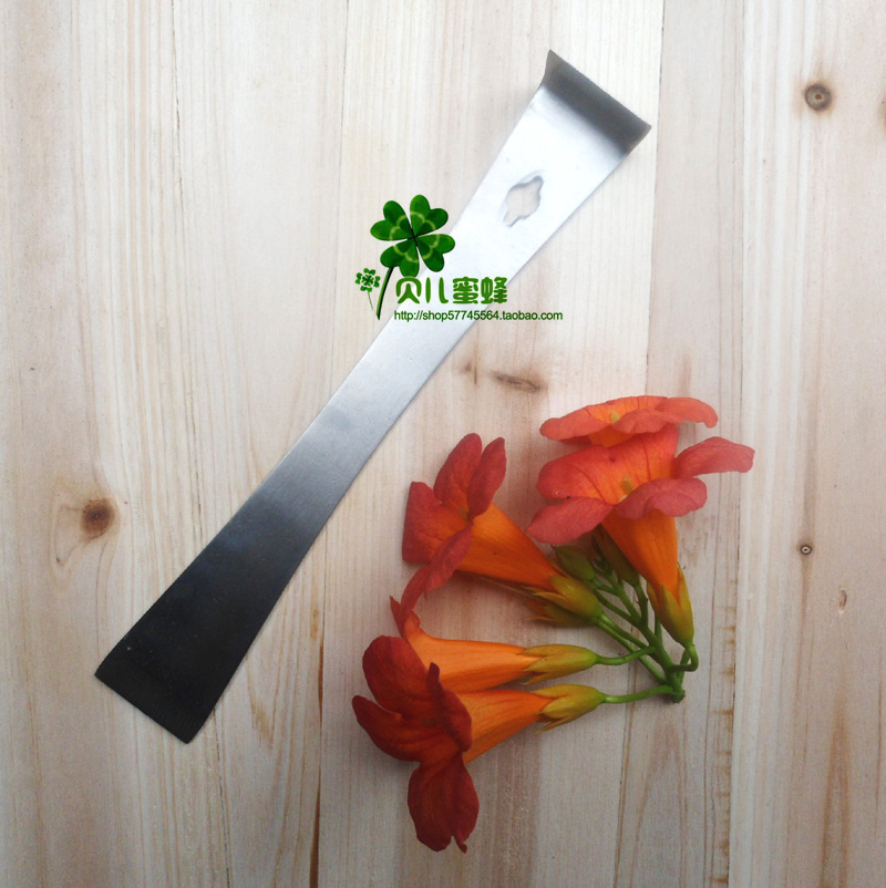 蜂具清理工具铲刀/角落垃圾瓷砖清洁不锈铁起刮刀/启刮刀|msdalam kategori makanan berkhasiat tradisional, Bee, 养蜂工具 - dari Buy2taobao.com untuk memberikan perkhidmatan ejen Taobao profesional membeli