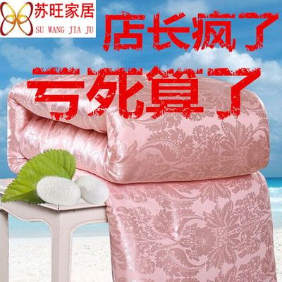 蚕丝被100%桑蚕丝单双人春秋被子冬季加厚全棉被芯冬被夏凉被特价