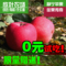 上下架计划:2014现摘甘肃静宁生态有机红富士新鲜平安果苹果两颗批发特价水果