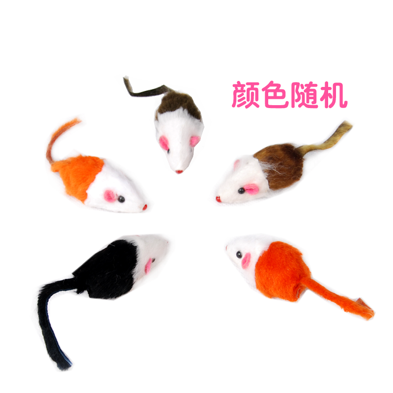 【满100赠】高品质2英寸 兔皮剪毛小老鼠带沙砾声猫玩具随机发在类目 宠物/宠物食品及用品, 猫/狗玩具, 发声玩具中 - 来自Buy2taobao.com提供专业的淘宝代购服务