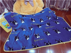 Coral dormitory blanket Flannel Double blanket Blanket Thin Siesta Air blanket summer Levin Lawin the Bedclothes , Leisure blanket/Woolen blanket/Carpet category - from Buy2taobao.com to provide professional Taobao agent buy service