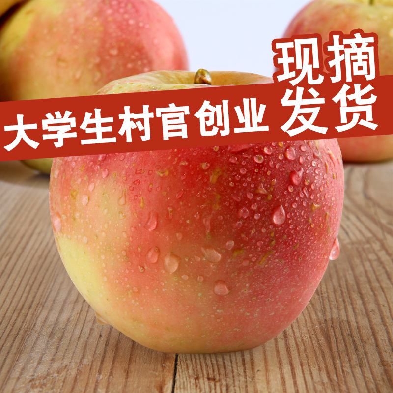 【大沙河】现摘新鲜丰县大沙河红富士苹果水果10斤批发包邮吃的