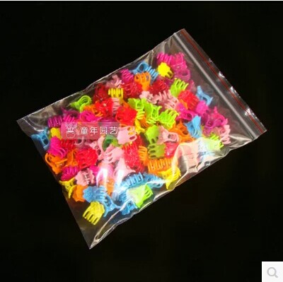 Phalaenopsis clip Orchid clip Small clip Color clip Fixed rod clamp Flower arrow clip Orchid clipin the Flower delivery/Flowers simulation/Plants gardening , Gardening supplies , Other Garden Supplies category - from Buy2taobao.com to provide professional Taobao agent buy service