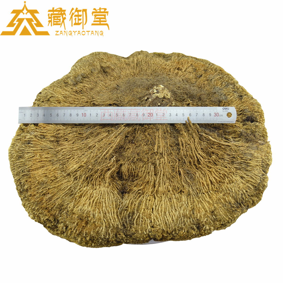 西藏雪域 林芝 野生 雪灵芝1斤 草灵芝 野生灵芝|msdalam kategori makanan berkhasiat tradisional, Ganoderma, Pemangkasan Ganoderma lucidum - dari Buy2taobao.com untuk memberikan perkhidmatan ejen Taobao profesional membeli