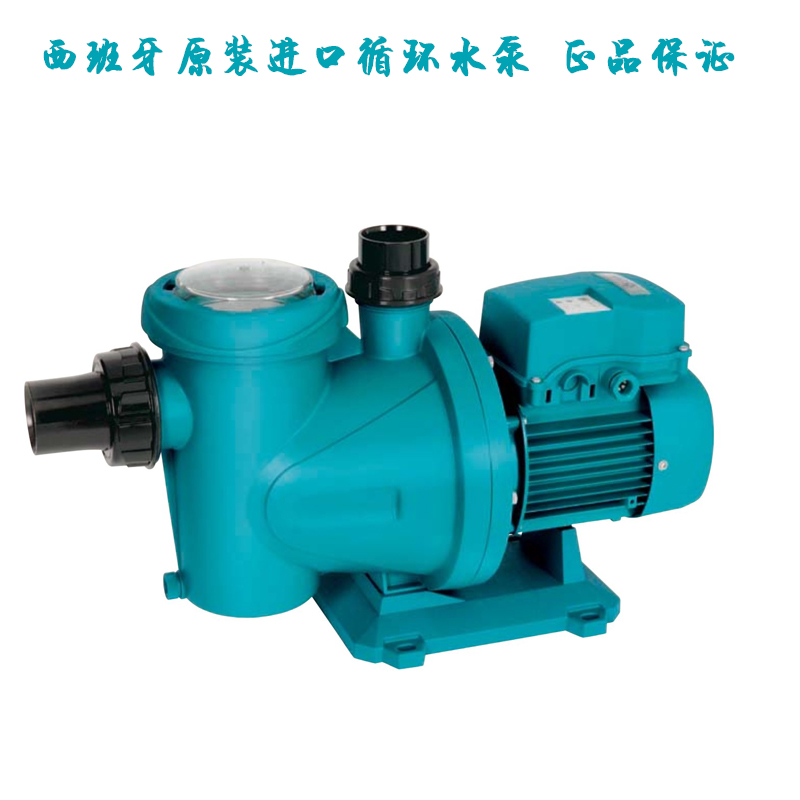 ESPA亞士霸S2系列循環泵泳池循環水泵/遊泳池過濾水泵循環泵在類目 運動/瑜伽/健身/球迷用品, 遊樂場/體育場館設施, 泳池設備中 - 來自Buy2taobao.com提供專業的淘寶代購服務