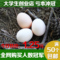 上下架计划:正宗有机土鸡蛋农家自养山鸡蛋散养鸡蛋新鲜草鸡蛋野柴鸡蛋笨鸡蛋