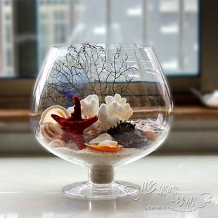 欧式酒杯创意时尚透明圆形，玻璃鱼缸水培插花高脚花瓶小花器摆件