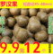 上下架计划:新货罗汉果 桂林永福罗汉果茶12个 买2送1 批发价 包邮