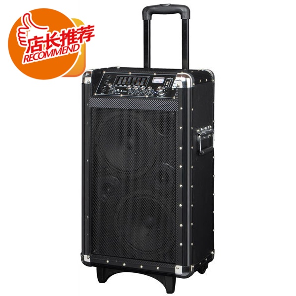 专业舞台有源音响/双8寸带拉杆USB接口,带12V电瓶/C-15A|msdalam kategori Peralatan Audio-visual, Hifi Speaker/PA/Equipment, Hifi Speaker - dari Buy2taobao.com untuk memberikan perkhidmatan ejen Taobao profesional membeli