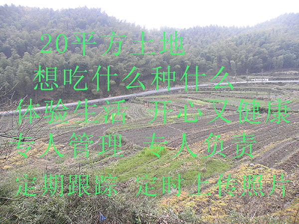 四明山一日游天上一日游陪吃喝陪玩一家三口吃农家菜 赏农家风景在类目 休闲娱乐, 户外休闲玩乐, 农家乐/生态体验中 - 来自Buy2taobao.com提供专业的淘宝代购服务