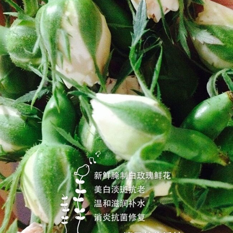 新鲜腌制保加利亚白玫瑰鲜花 2017年限量销售 美白淡斑收敛抗氧化在类目 鲜花速递/花卉仿真/绿植园艺, 婚礼鲜花布置, 其它中 - 来自Buy2taobao.com提供专业的淘宝代购服务