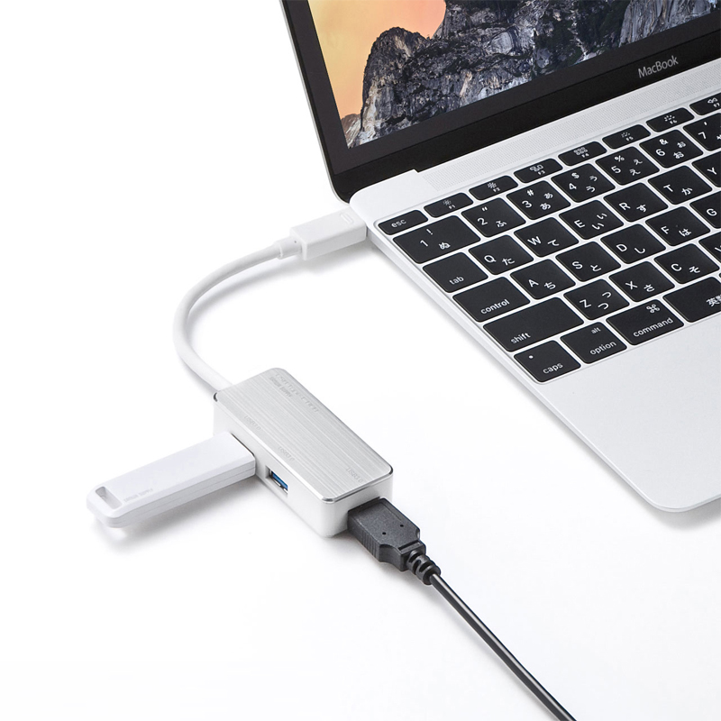 Japan SANWA Shanye Distributor Type-c turn USB 3.0 converter HUB Hub Expand chargein the 3C Digital Accessories, USB Computer Peripherals , USB HUB/Converter category - from Buy2taobao.com to provide professional Taobao agent buy service