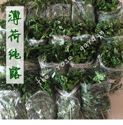 鲜薄荷纯露爽肤水花水清爽控油收缩毛孔舒缓粉刺痘痘500ml