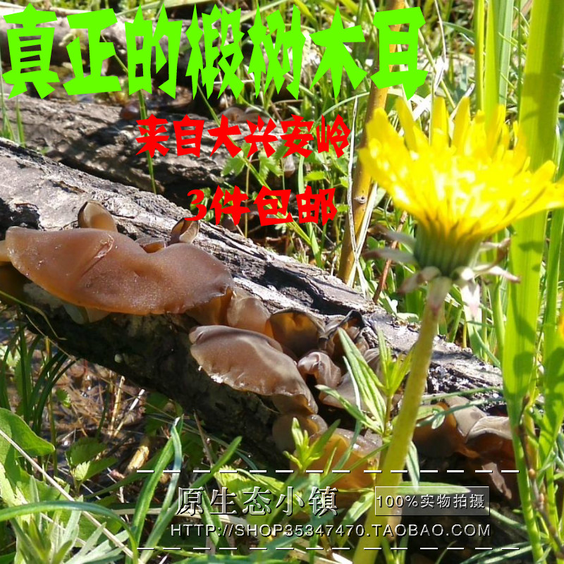 大興安嶺東北黑木耳秋木耳椴樹黑木耳 幹貨250克無根肉厚 3件包郵在類目 糧油米麪/南北乾貨/調味品, 南北乾貨/肉類乾貨, 乾貨/土特產, 黑木耳中 - 來自Buy2taobao.com提供專業的淘寶代購服務