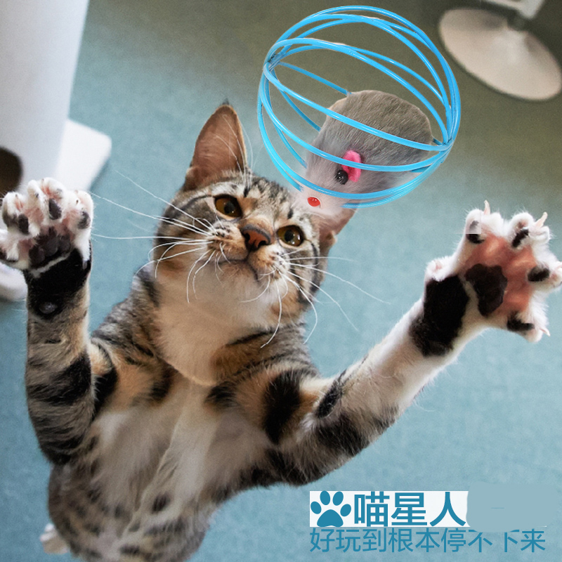 舒保特猫玩具铁笼囚笼仿真老鼠玩具球 猫咪互动益智玩逗猫玩具BJ在类目 宠物/宠物食品及用品, 猫/狗玩具, 橡胶球/球形玩具中 - 来自Buy2taobao.com提供专业的淘宝代购服务