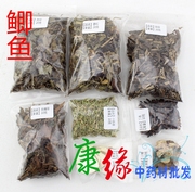 钓鱼小药鲫鱼配方灵草甘松香松香排草鱼腥草白芷川穹芎丁香小茴香