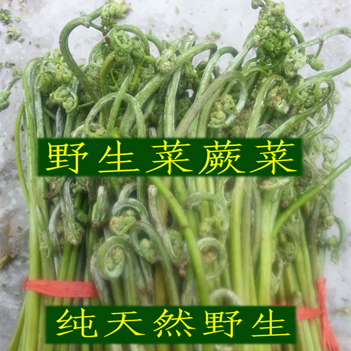 19年保鮮袋的蕨菜蔬菜拳頭菜龍頭龍爪菜小興安嶺野生勾勾菜山野菜在類目 水產肉類/新鮮蔬果/熟食, 新鮮蔬菜/蔬菜製品, 新鮮蔬菜, 其它中 - 來自Buy2taobao.com提供專業的淘寶代購服務