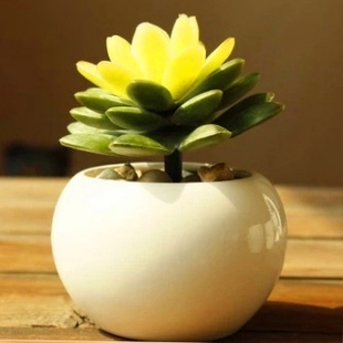 时尚桌面欧式白瓷创意圆球形多肉陶瓷小花卉迷你可爱个性花盆
