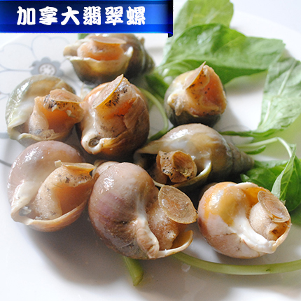 进口冷冻海鲜加拿大翡翠螺 熟冻刺身解冻即食500G在类目 水产肉类/新鲜蔬果/熟食, 海鲜/水产品/制品, 贝类, 贝类制品中 - 来自Buy2taobao.com提供专业的淘宝代购服务