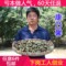 上下架计划:任意6件包邮 康乃馨花茶  排毒养颜调内分泌 花草茶 养生茶50克