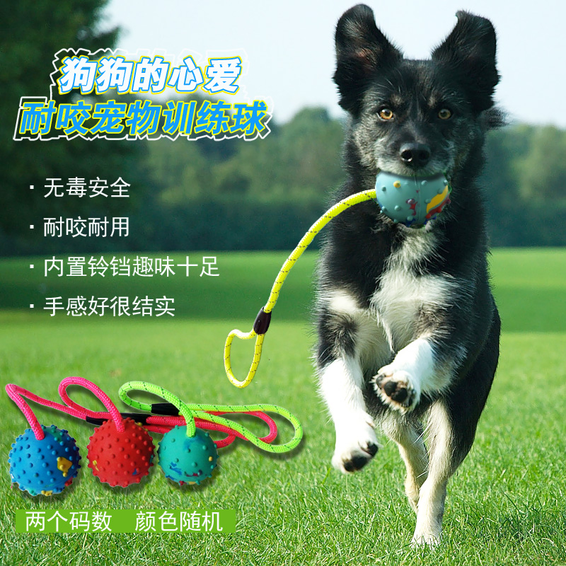 包郵 寵物磨牙玩具球 狗狗訓練耐咬橡膠球帶繩空心彈力球帶鈴铛在類目 寵物/寵物食品及用品, 貓/狗玩具, 橡膠球/球形玩具中 - 來自Buy2taobao.com提供專業的淘寶代購服務