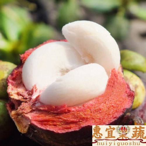 正宗泰国新鲜山竹5A级进口山竹 5斤装山竹 死