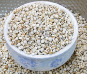 贵州小薏米仁  金沙薏米 无硫熏白 500g无工业污染