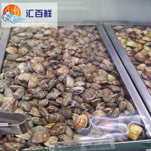 北京閃送鮮活花蛤 大文蛤 個大肥滿 小炒佳品 味道美味在類目 水產肉類/新鮮蔬果/熟食, 海鮮/水產品/製品, 貝類, 貝類製品中 - 來自Buy2taobao.com提供專業的淘寶代購服務