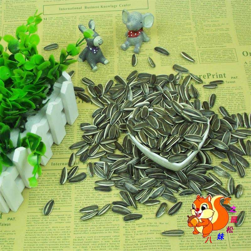 内蒙古生瓜子松鼠食物零食粮食幼崽魔王金花雪地黄山松鼠200克在类目 宠物/宠物食品及用品, 仓鼠类及其它小宠, 饲料/零食中 - 来自Buy2taobao.com提供专业的淘宝代购服务