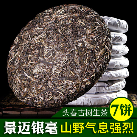 景迈古树生茶