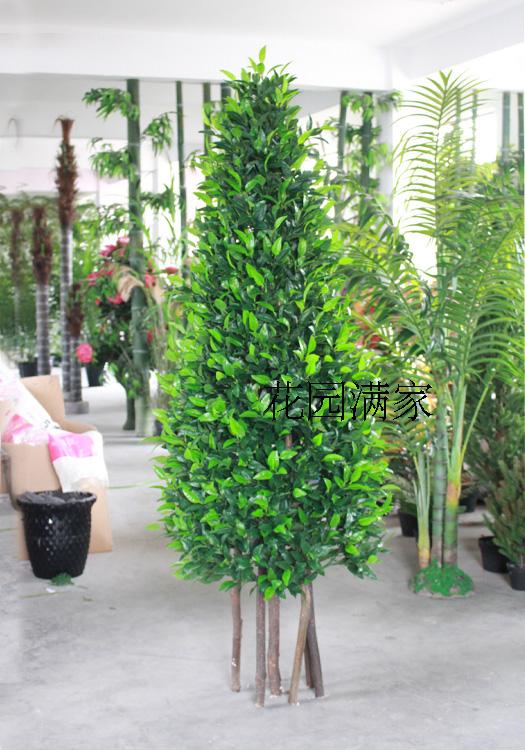仿真植物大树塔型月桂叶橄榄叶果树落地室内公园酒店假树装饰直销|ruв категории Домашний быт, ваза/цветок/искусственные цветы/моделирование украшения, бонсай моделирования растений - от Buy2taobao.com для оказания профессиональной услуги покупки агента Taobao
