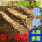 上下架计划:包邮 东北长白山鲜人参 泡酒人参保鲜参新鲜刚出土鲜参7-8支/半斤