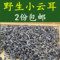 上下架计划:黄山土特产 出口级野生黑木耳 云耳小耳 椴木长出就采摘  包邮