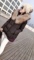 上下架计划:2014冬装新款女韩版加厚连帽羽绒棉棉衣棉服外套正品时尚公告821