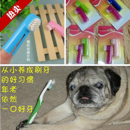 宠物牙刷 手指牙刷狗牙刷2只装 巴哥清洁口腔 除口气去口臭防疾病|ruв категории животное/Животное питание и принадлежностей, кошка/собака красоты уборки, очистка полости рта - от Buy2taobao.com для оказания профессиональной услуги покупки агента Taobao
