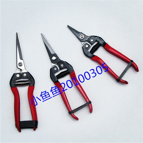 采摘剪刀桔子剪修枝剪子园林园艺用品工具小苗木嫁接色不定随机发|msdalam kategori penghantaran bunga/bunga simulasi/tumbuhan berkebun, Gardening Supplies, berkebun/pisau/Shears/Saw (baru), gunting - dari Buy2taobao.com untuk memberikan perkhidmatan ejen Taobao profesional membeli