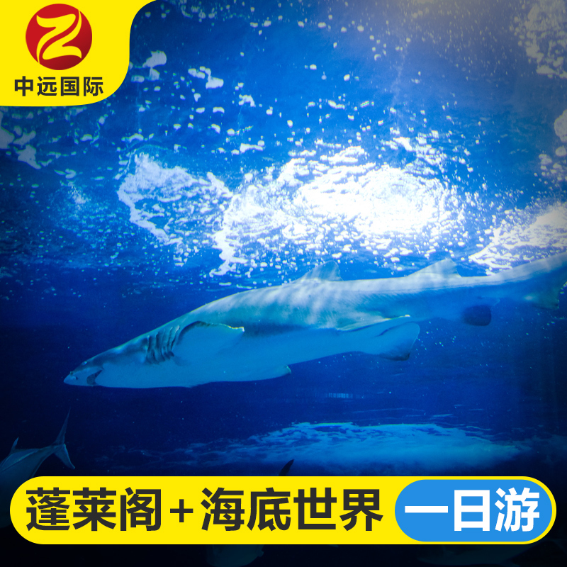 蓬莱阁海洋极地世界纯玩跟团一日游 海底世界 烟台始发 1天0晚|ruв категории праздник линий/отправить закрыть визы/служба туризма, свободной линии/с Миссией плавать, в стране с Миссией плавать - от Buy2taobao.com для оказания профессиональной услуги покупки агента Taobao