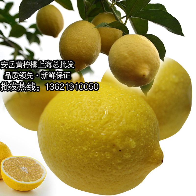四川 黄柠檬新鲜柠檬 尤力克柠檬 新鲜水果 1斤装6个左右10斤包邮在类目 水产肉类/新鲜蔬果/熟食, 新鲜水果, 其它中 - 来自Buy2taobao.com提供专业的淘宝代购服务