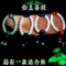上下架计划:弈升缘原创白菩提根手串 情侣手链一对 学生创意时尚手链佛珠配饰