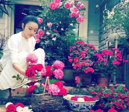 杨丽萍同款夏季小披肩小外套防晒衣2015薄款短款小坎肩开衫小外搭