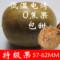 上下架计划:罗汉果特级果低温电烤 广西罗汉果茶润肺 包甜0焦果特价15个包邮
