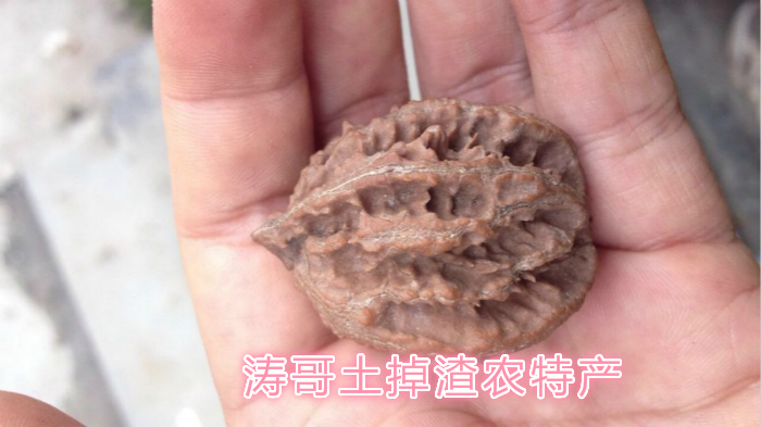 Hand play with walnut Man playing walnut Qinling wild M.prunifolia Hickory training Gansu M.prunifolia Multi-shotin the Antique/Youbi/Crafts/Collection , Handicraft/Folk custom , Nuclear Eagle , Walnuts/Carved walnut category - from Buy2taobao.com to provide professional Taobao agent buy service