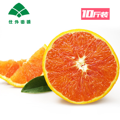 仕外田源 三峡秭归脐橙 血橙红肉橙子 中华红新