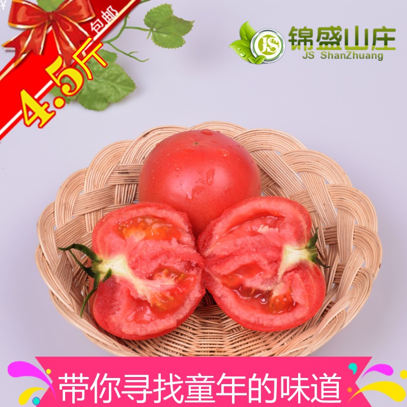 沙瓤普罗旺斯西红柿新鲜水果番茄现摘现发洋柿子酸甜爽口净4斤半|ruв категории водной мясо/свежие фрукты и овощи/еда, свежие овощи/овощной продукции, свежие овощи, помидор - от Buy2taobao.com для оказания профессиональной услуги покупки агента Taobao