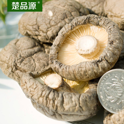 楚品源大香菇 干冬菇 香菇干货 年货 南北干货肉厚味鲜 500g包邮